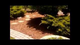 preview picture of video 'Neighborhood Landscaping- Mulch Installation (Customer Review)- West Bloomfield, MI'