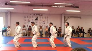 preview picture of video 'Démonstration judo-show JCA.mp4'