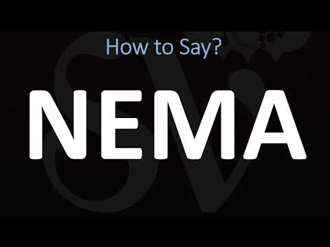 How to Pronounce Nema? (CORRECTLY)