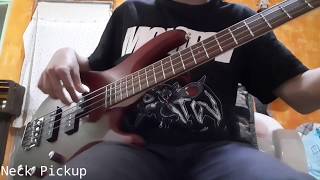 Video thumbnail for Cort Action PJ Bass Soundtest! by Meylar López