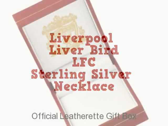 Vídeo relacionado con Liverpool Football LiverBird - Sudadera con capucha para hombre, color negro, Negro, L