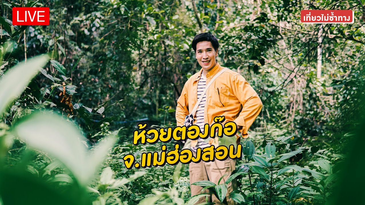 ห้วยตองก๊อ