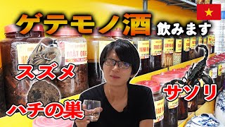 【ベトナムのゲテモノ酒】怪しい酒屋で購入したスズメ、サソリ、蜂の巣酒を実飲レビュー【閲覧注意！？】
