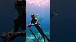 Download lagu 🤯 Spearfisherman Has BREATHTAKING Encounter with GIANT Manta Ray 🌊 mp3
