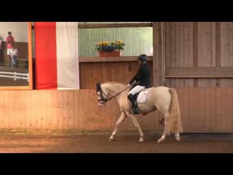 Hesselteichs Blue Angel Schwerte   Gut Kueckshausen 2015 26 06 2015 161 1 1
