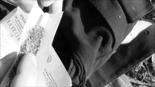 Adrian Younge - Gloria ( Zodiac Lovers )