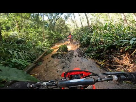 1° MEIA TRILHA DO VINHO E DO QUEIJO - Salgado Filho PR 