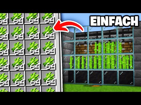 Minecraft kleine Zuckerrohr Farm bauen 1.21 Tutorial - Zuckerrohr Farm in Minecraft bauen