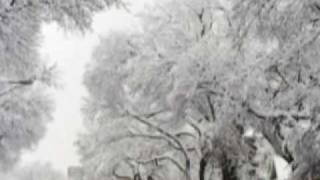 Our Family Tree (Demo)