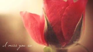 I'VE GOT YOU UNDER MY SKIN BY MICHAEL BUBLE