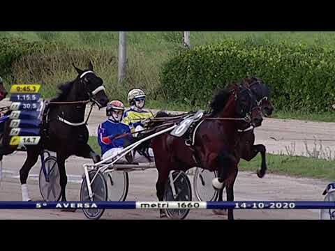 Aversa trotto 14 Ottobre 2020 - 5° Corsa