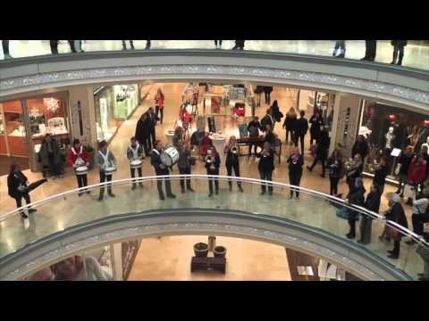 Flashmob Schlosshöfe Oldenburg 22.02.2014 Blue Lions Rastede