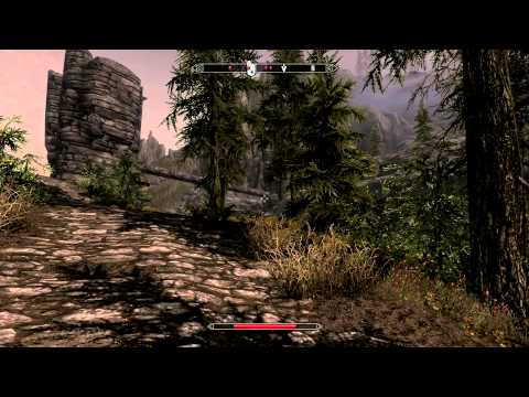 Skyrim - Treasure Map II Guide