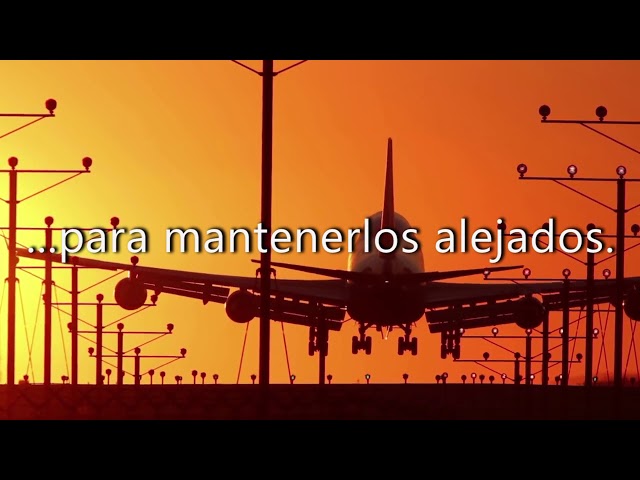 Vídeo relacionado con La culpa de Till: Landvik nº 3