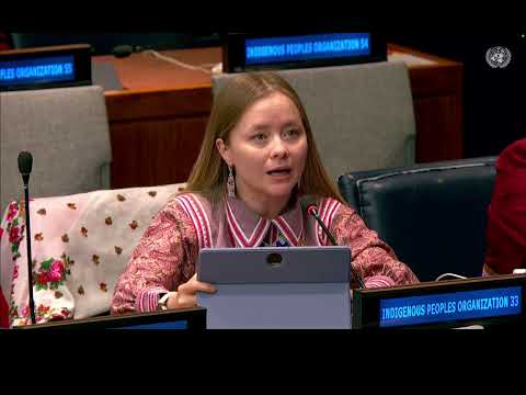 Protection of Yugra.  UN Permanent Forum on Indigenous Issues, (Rus). #unpfii2025