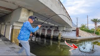 Roadside Fishing On This Island Is Epic!