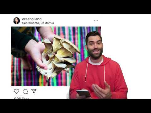 Back To The Roots Creative Ideas For UGC