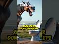 When London Suffered From Horse Poop Great Horse Manure Crisis History London Horse