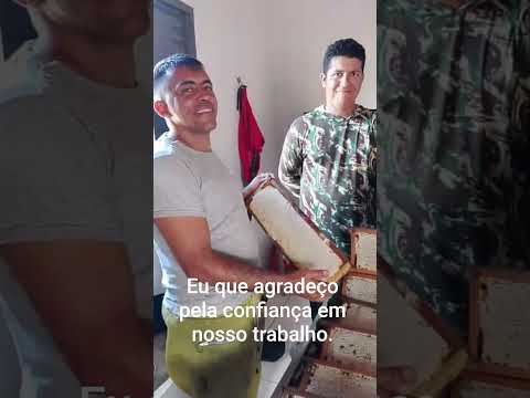 Colheita de mel apicultor em Avelino Lopes.