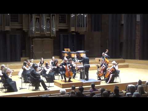 Lubelska Wiosna Młodych, 24-26 maja 2019 – Michał Balas (wiolonczela)