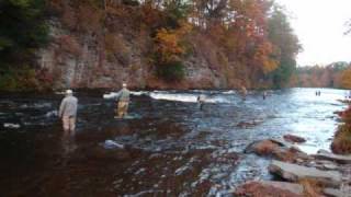 preview picture of video 'Pulaski NY Steelhead'