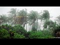 Monsoon In India Cinematic Nature Documentary