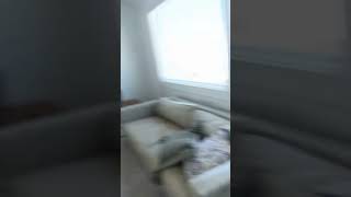 No bra Bouncing Big Boobs No Bra Challenge stepsister#nobra​ #bouncing​ #tiktok​ #tphani