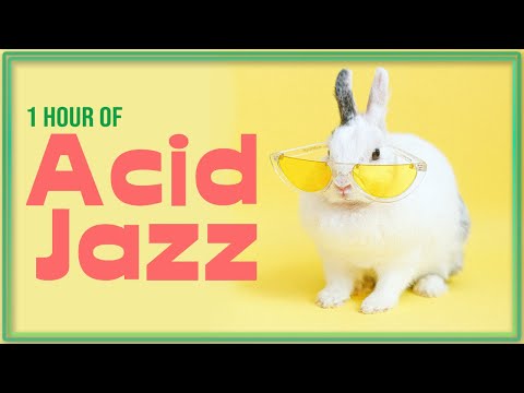 1 hour of acid jazz