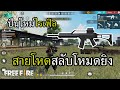 ฟีฟาย