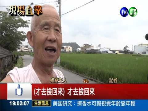台中驚現龍捲風 雞寮屋頂被掀飛