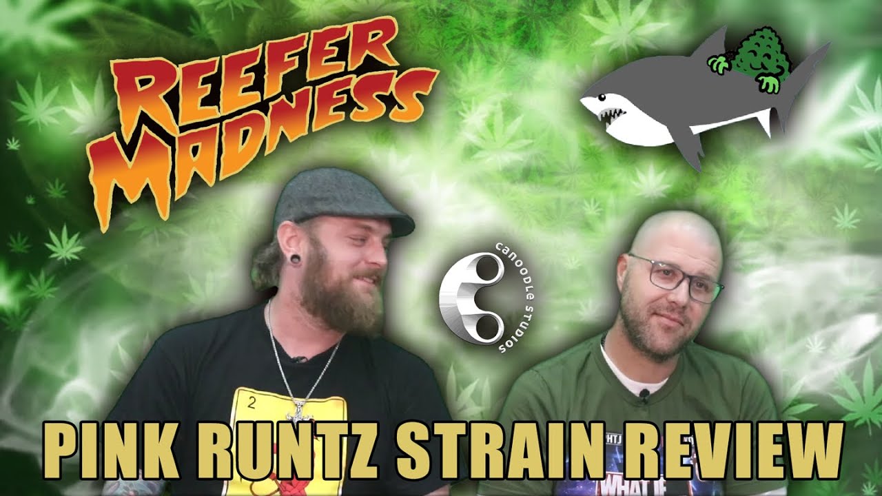 Pink Runtz - Strain Review - Reefer madness