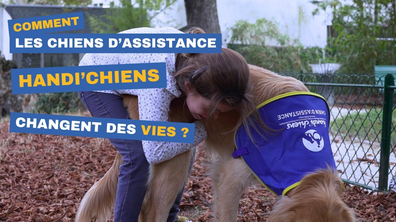 Comment les chiens d’assistance HANDI'CHIENS transforment des vies