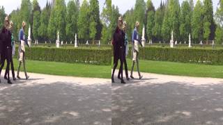 preview picture of video 'Прогулка в парке Нимфенбургского дворца в 3D'