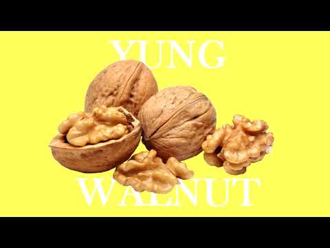 yung walnut - yuh