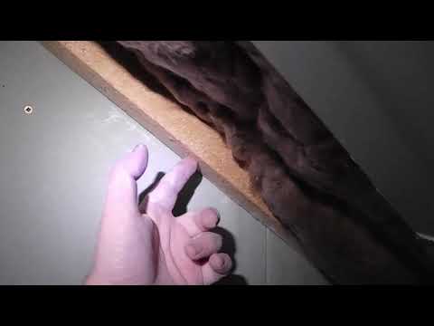 Loft Conversion Day 4