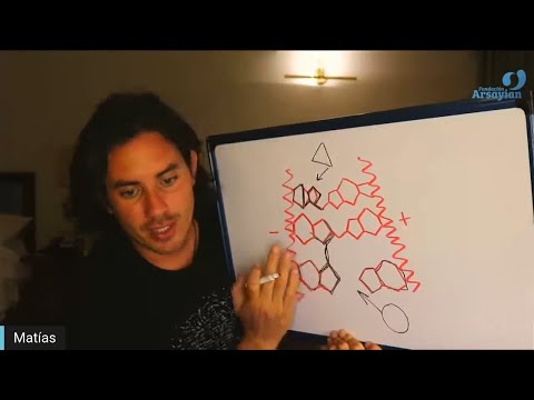 Day 325 MUTATIONS - Matias De Stefano - English Edit