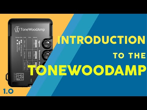 Introduction to the ToneWoodAmp