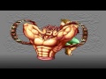 The Eye Of Typhoon 극초호권 South Korean Exclusive Fighting Game