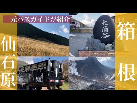 YouTube動画を再生