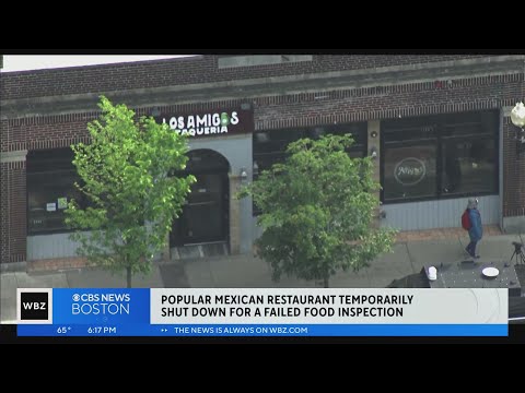 Two Boston taco shops shut down after failing health inspections