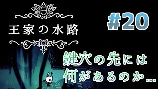 【実況】一匹のムシと滅びゆく王国の物語＃２０【Hollow Knight】