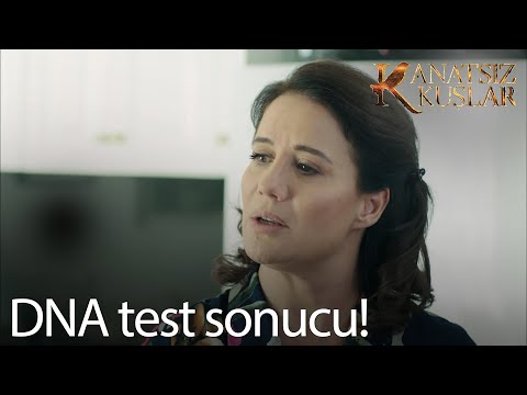 Azime DNA testi yaptırmış - Kanatsız Kuşlar 17. Bölüm