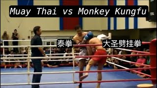 Download lagu Monkey Kungfu Style Dismantled By Muay Thai... mp3