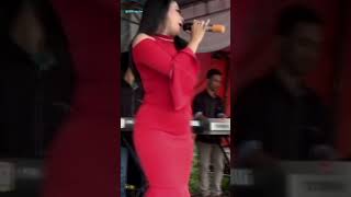Download lagu Tak Berani Beradu Pandang | #shorts #koplodangdut mp3 Download lagu Tak Berani Beradu Pandang | #shorts #koplodangdut mp3