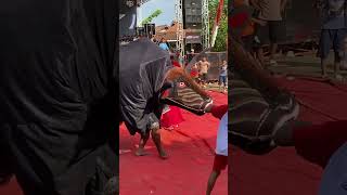 Download lagu The real bayi kawak‼️barongan satrio manunggal singo manis #plesirmbarong #barongankendal #shorts mp3