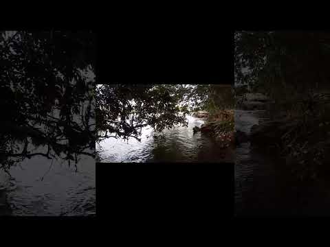 Easy On Me ( @adele  ) GOVERNADOR VALADARES MINAS GERAIS 🇧🇷🇧🇷🇧🇷🇧🇷