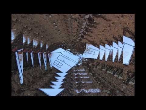 זה היה ביתי- שני סרנר