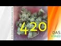 420 Vines Blaze It ✔ Vine Compilation - Happy 4/20 Weed Day - The Best Vines From Viners For Viners