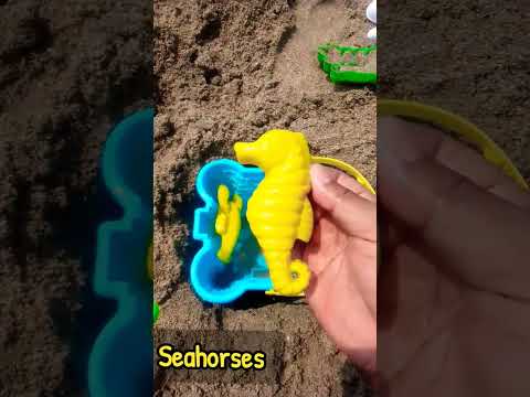 ayah Susanti keeping sea animals #shortvideo #ayahsusanti