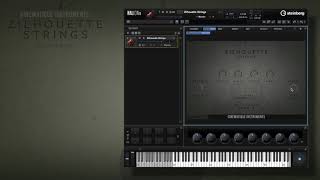 Video thumbnail for Walkthrough Zilhouette Strings for HALion by CINEMATIQUE INSTRUMENTS